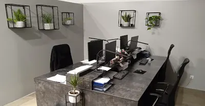 Web-Profit Maciej Kuźlik